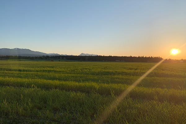 Spit Shoreline in Sequim